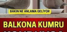 Balkona Kumru Konduysa.Bakın ne anlama geliyor..