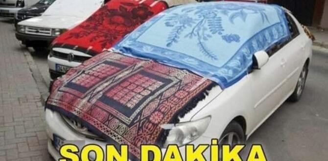 M’eteoroloji’den h’ayat bir u’yarı!