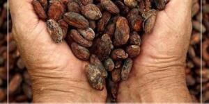 Unutkanlığı b’itiriyor..