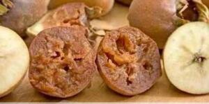 Astım vede Bronşite Kök Söktürüyor