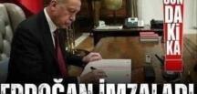 Cumhurbaşkanı Erdoğan karar verdi!