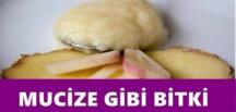 K’an seri önlüyor, tansiyonu düşürüyor, iltihap kurutuyor ve şeker hastalarına şifa oluyor!