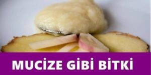 K’an seri önlüyor, tansiyonu düşürüyor, iltihap kurutuyor ve şeker hastalarına şifa oluyor!