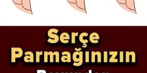 Serçe Parmağınızın Boyundan Kişiliğinizi ve Sağlığınızı Öğrenin