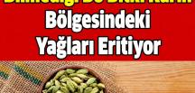 Bu Bitki Karın Bölgesindeki Yağları Eritiyor Bakınız Hangi Bitkiymiş…