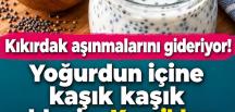 Kıkırdak aşınmalarını gideriyor! Yoğurdun içine bunu kaşık kaşık ekleyiniz.